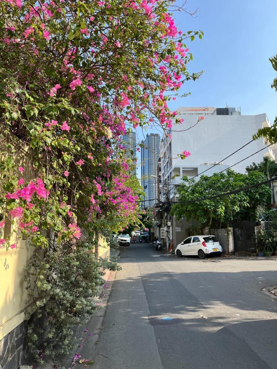 Nhà khách Sunny Tranquil Oasis TP. Hồ Chí Minh